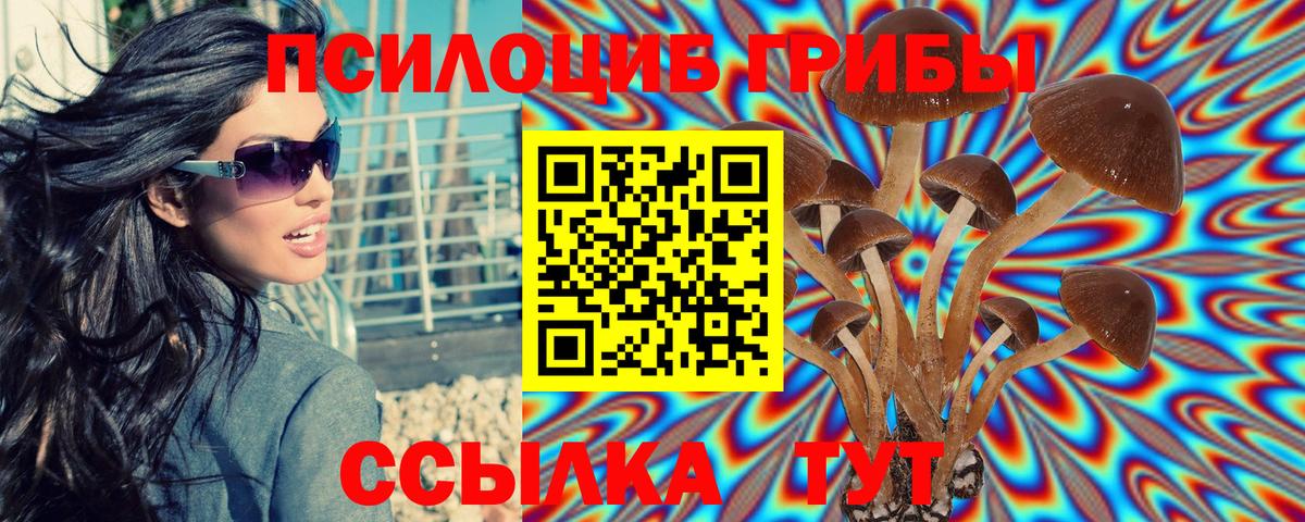 Псилоцибиновые грибы GOLDEN TEACHER Сызрань